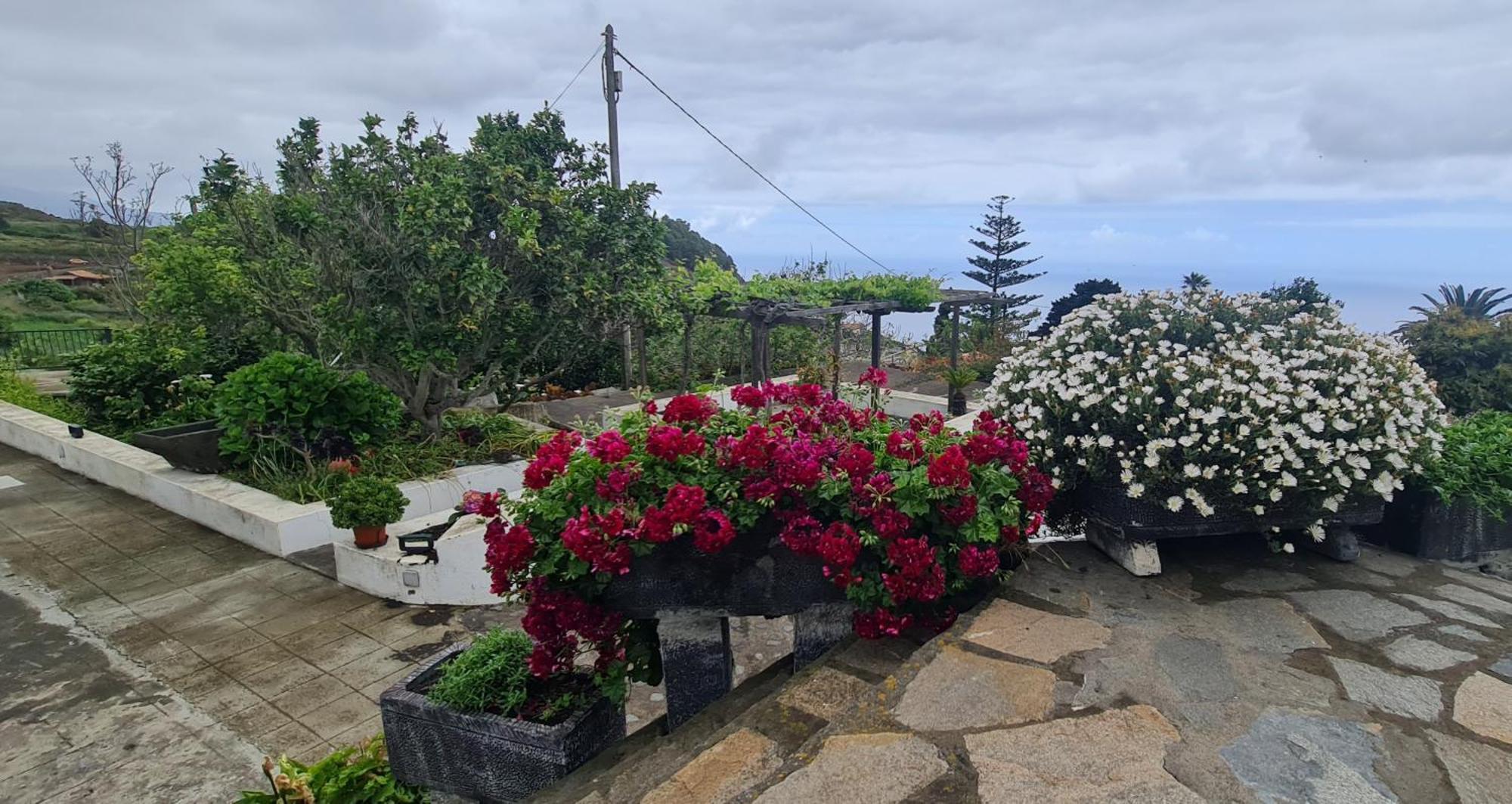Vivienda Vacacional Finca Monterrey Mazo Room photo